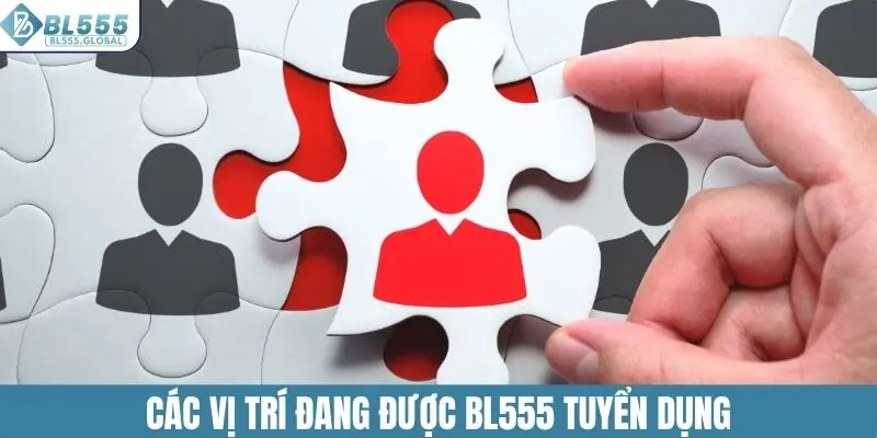 Tuyển Dụng BL555 - Cơ Hội Kiếm Tiền Với Thu Nhập Ổn Định 3 Các vị trí đang được BL555 tuyển dụng